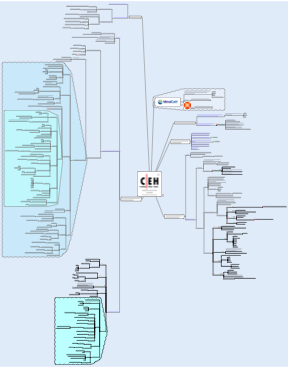 Mind Map CEH Scanning